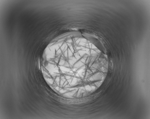 X0000082730046200702161918