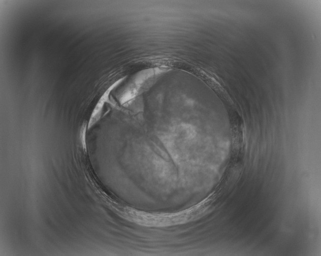 X0000082730047200702161918