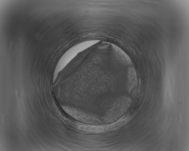 X0000082730048200702161918