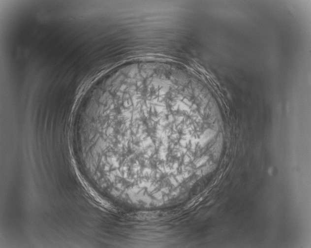 X0000082730049200702161918