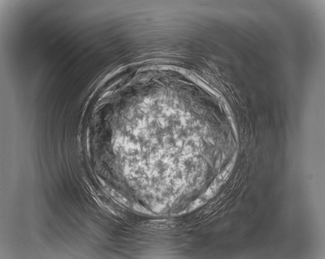 X0000082730050200702161918