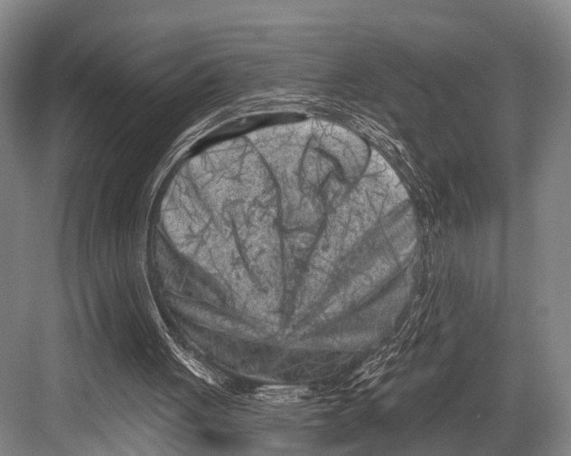 X0000082730051200702161918