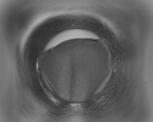 X0000082730052200702161918