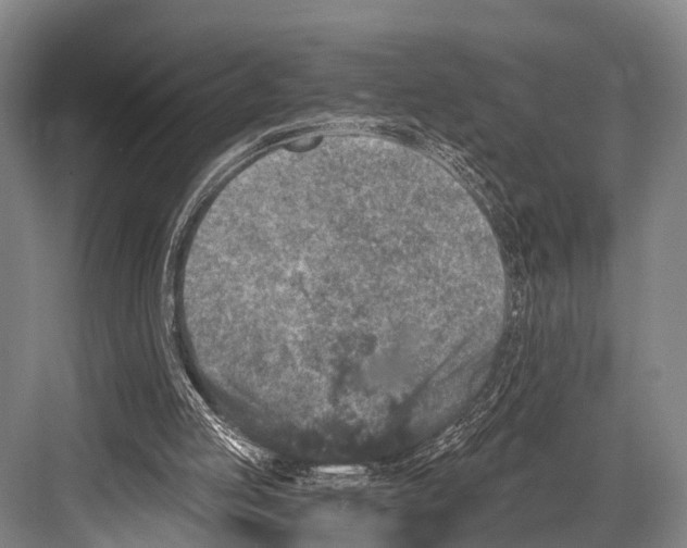 X0000082730053200702161918