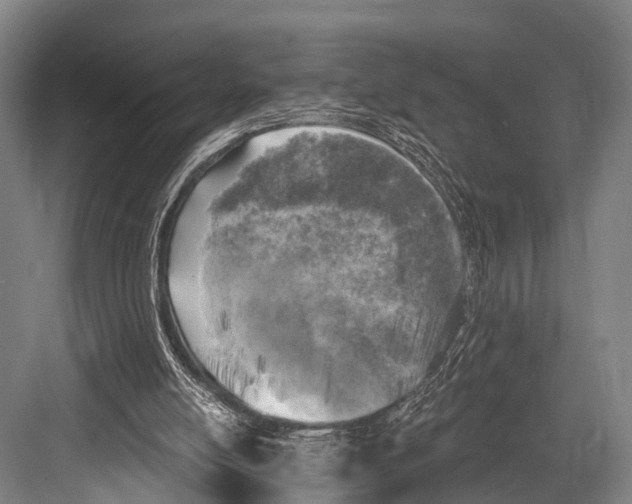 X0000082730054200702161918