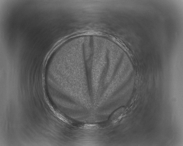 X0000082730055200702161918