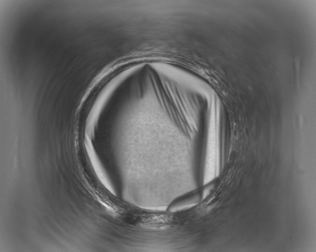 X0000082730056200702161918