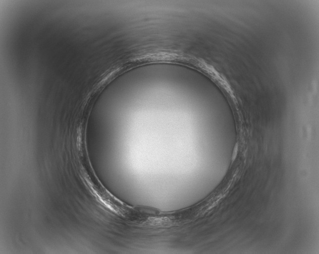 X0000082730057200702161918