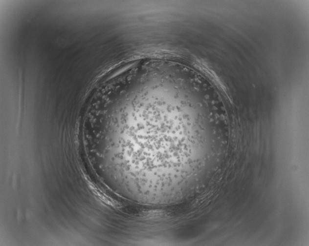 X0000082730058200702161918