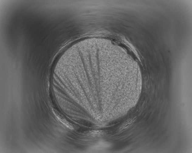 X0000082730059200702161918