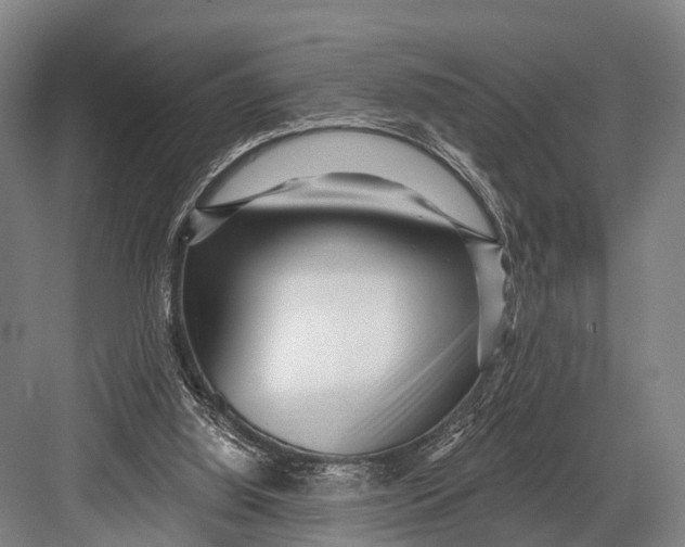 X0000082730060200702161918