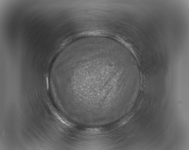 X0000082730061200702161918