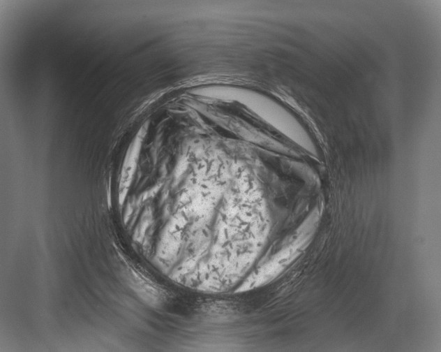 X0000082730062200702161918