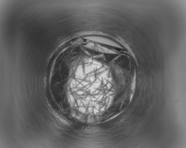 X0000082730063200702161918