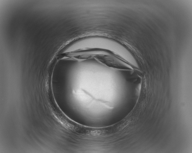 X0000082730064200702161918