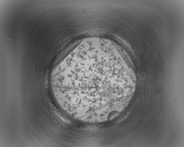 X0000082730065200702161918