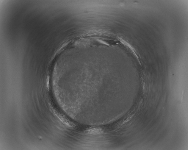 X0000082730067200702161918