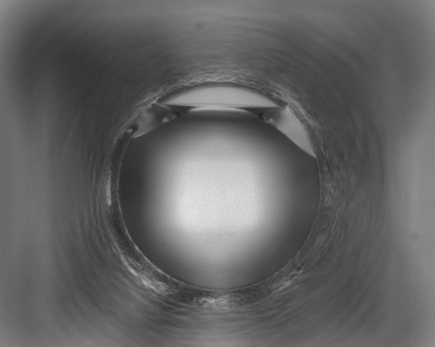 X0000082730068200702161918