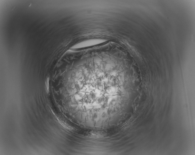 X0000082730070200702161918