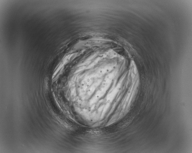 X0000082730071200702161918