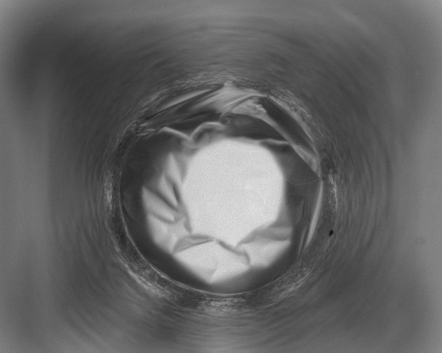 X0000082730072200702161918