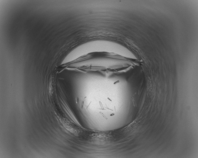 X0000082730074200702161918