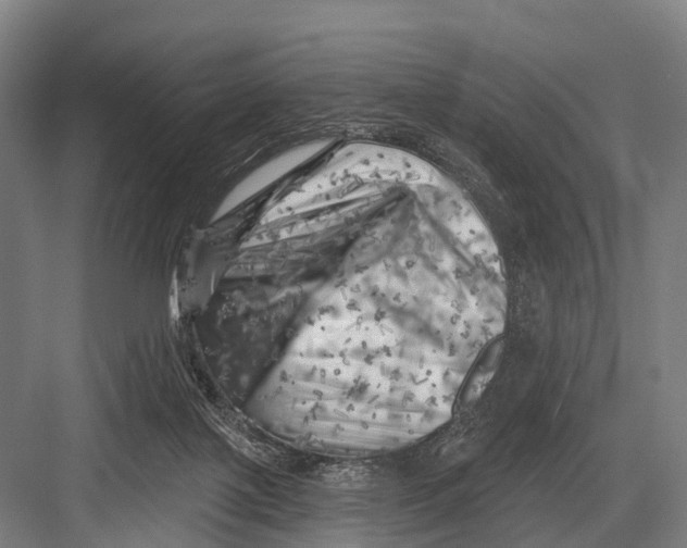 X0000082730075200702161918