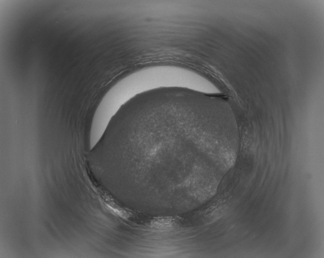 X0000082730076200702161918