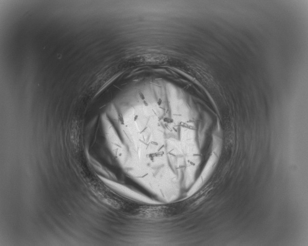 X0000082730078200702161918