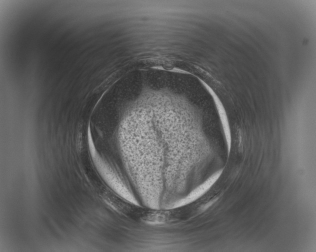 X0000082730080200702161918