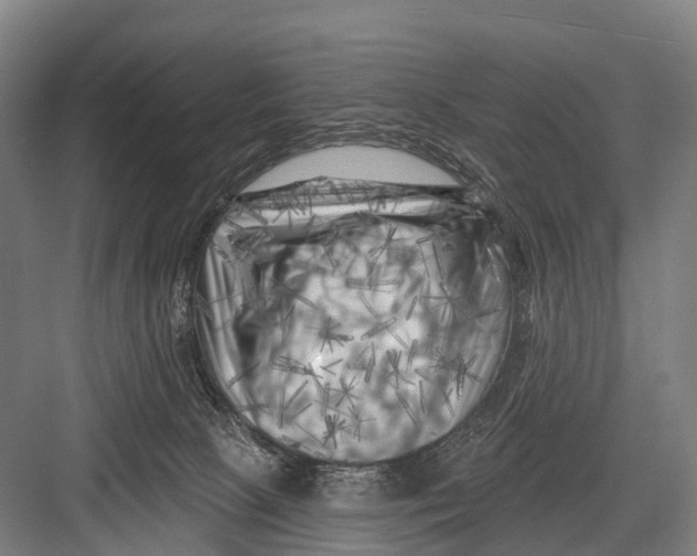 X0000082730081200702161918