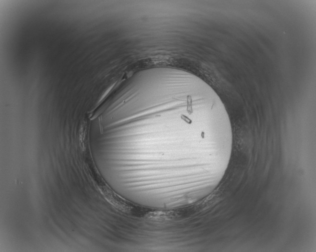 X0000082730082200702161918