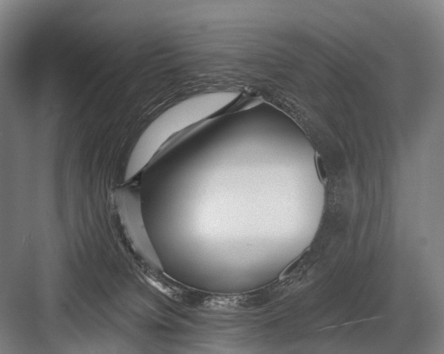 X0000082730084200702161918