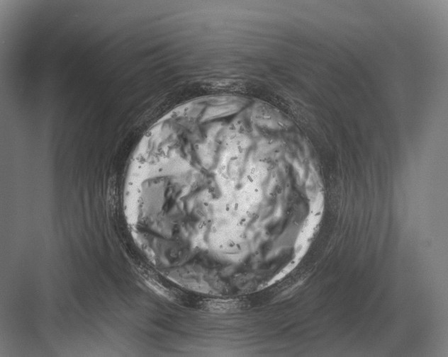 X0000082730085200702161918