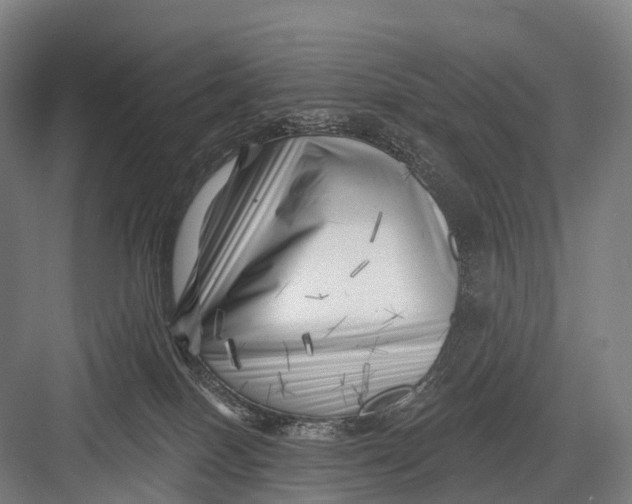 X0000082730086200702161918