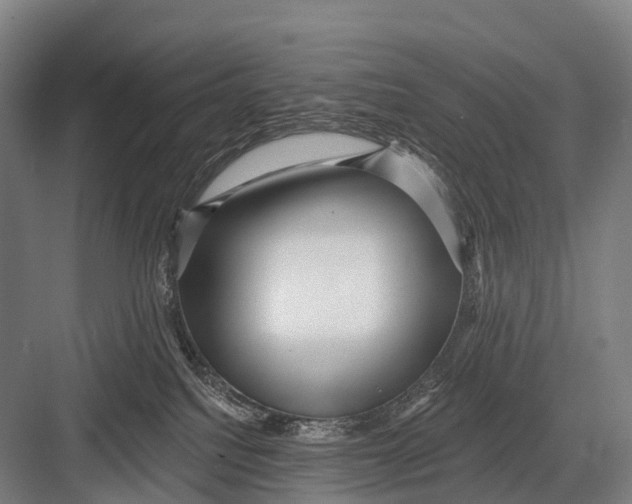 X0000082730088200702161918