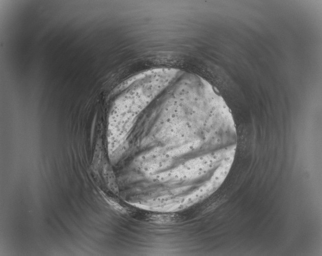 X0000082730089200702161918