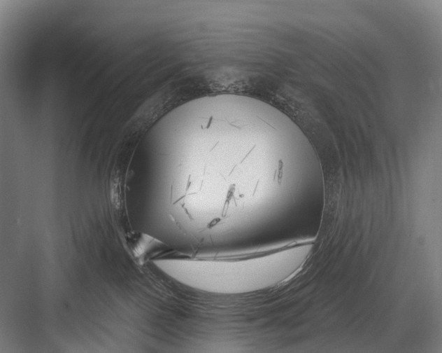 X0000082730090200702161918