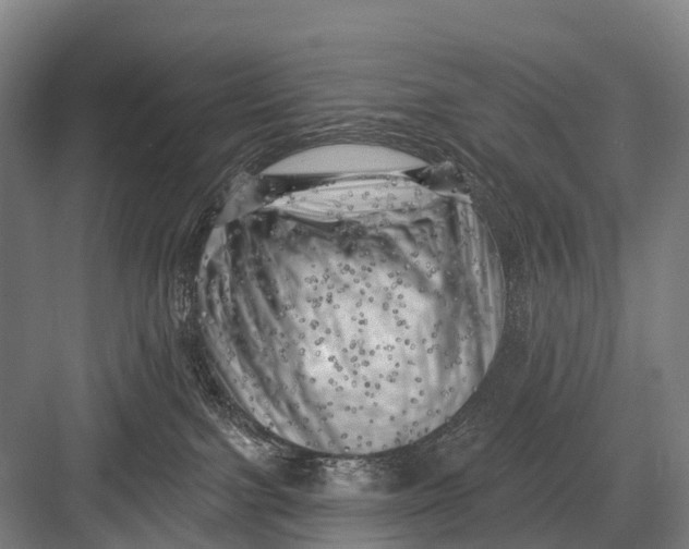 X0000082730091200702161918