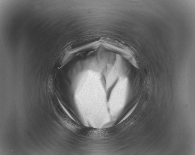 X0000082730092200702161918