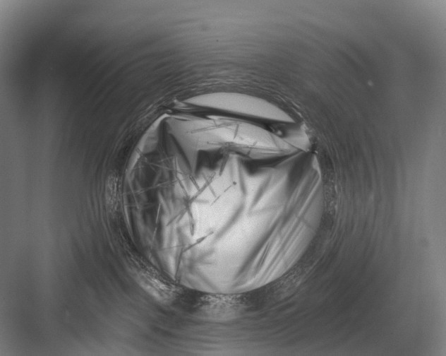 X0000082730093200702161918