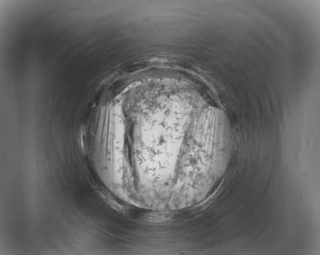 X0000082730094200702161918