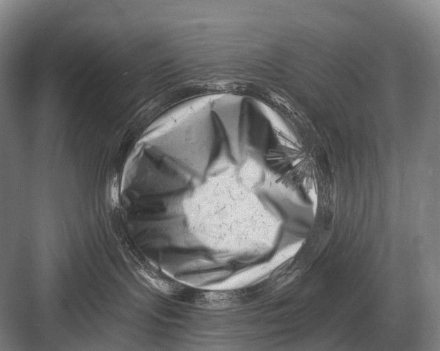 X0000082730095200702161918