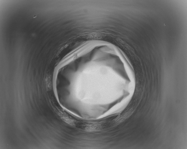 X0000082730096200702161918