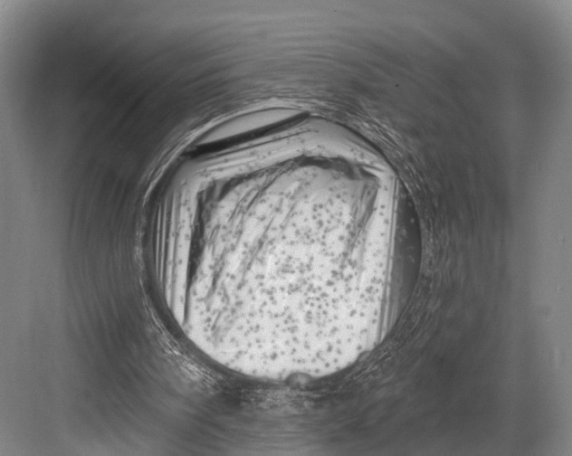 X0000082730098200702161917