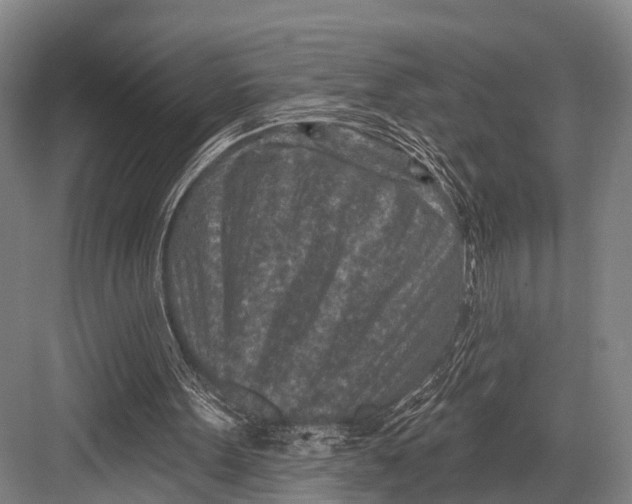 X0000082730099200702161917