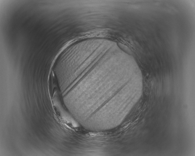 X0000082730100200702161917