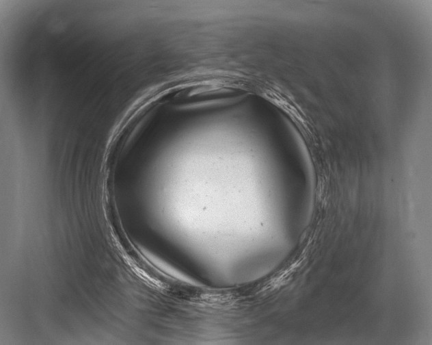 X0000082730101200702161917