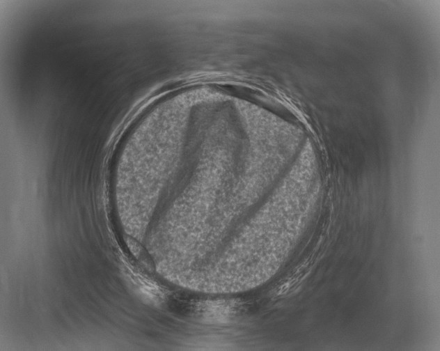 X0000082730103200702161917