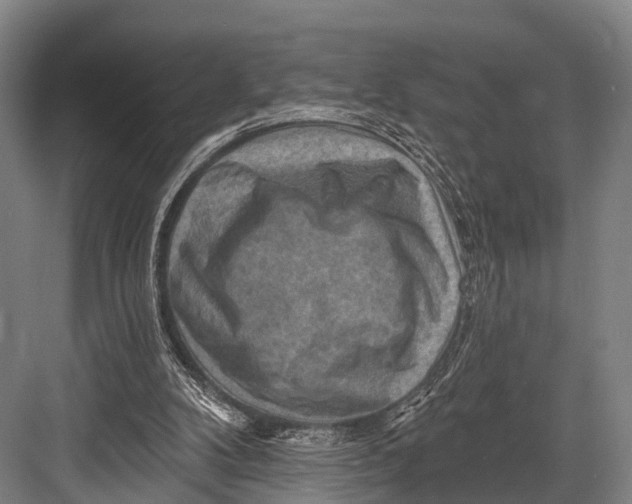 X0000082730104200702161917